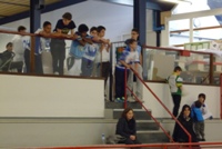 Clicca per ingrandire la foto