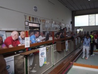 Clicca per ingrandire la foto