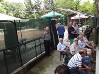Clicca per ingrandire la foto