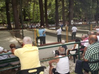 Clicca per ingrandire la foto