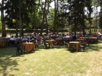 Clicca per ingrandire la foto