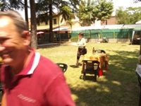 Clicca per ingrandire la foto