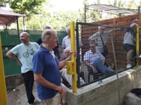 Clicca per ingrandire la foto