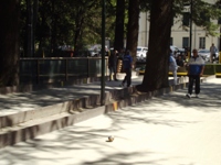 Clicca per ingrandire la foto