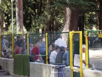 Clicca per ingrandire la foto
