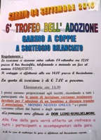 Ingrandisci il manifesto della gara